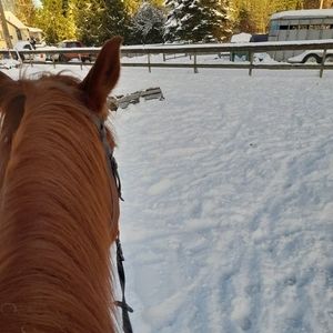 Meet your Posher, June